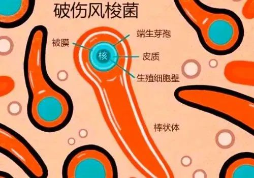微信图片_20241211174246.png