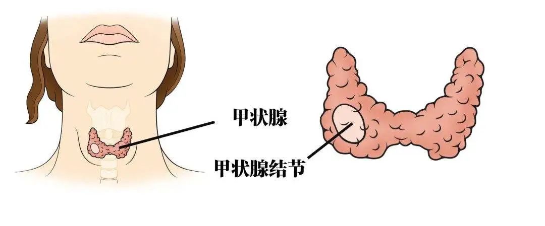 微信图片_20240325162921.jpg