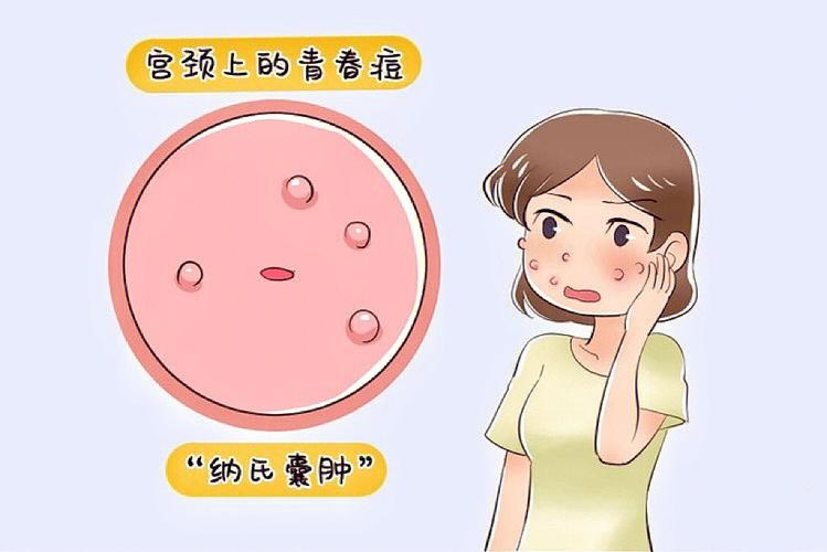 微信图片_20240716145115.png