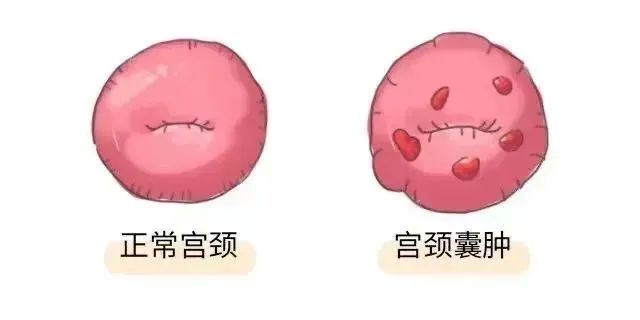 微信图片_20240716145120.jpg