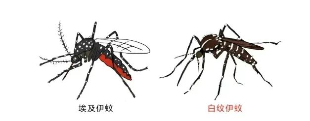 微信图片_20250616152902.jpg