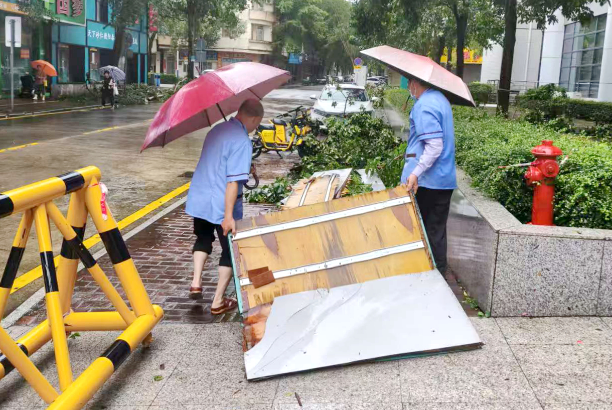 微信图片_2025-09-25_084403_807.jpg 微信图片_2025-09-25_084403_807.jpg