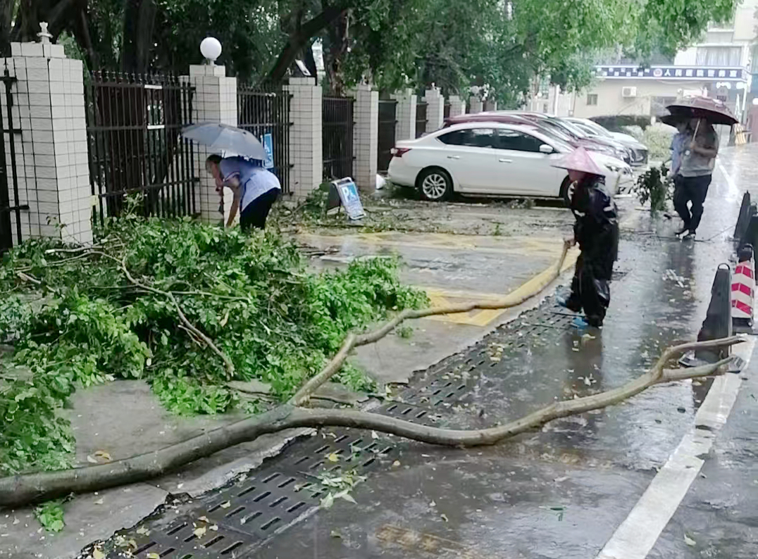 微信图片_2025-09-25_084407_735.jpg 微信图片_2025-09-25_084407_735.jpg