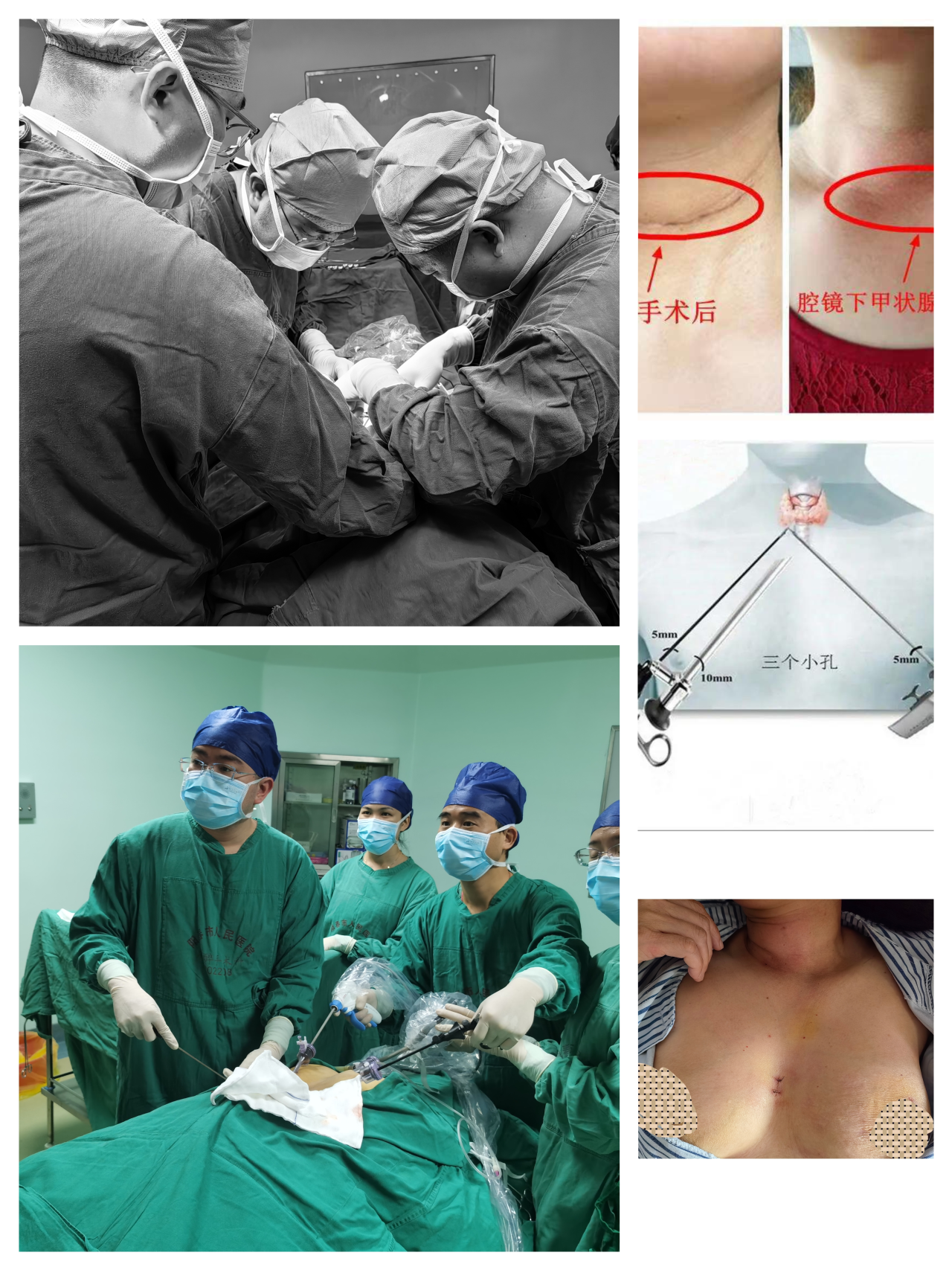 微信图片_2026-01-06_150814_103.png 微信图片_2026-01-06_150814_103.png