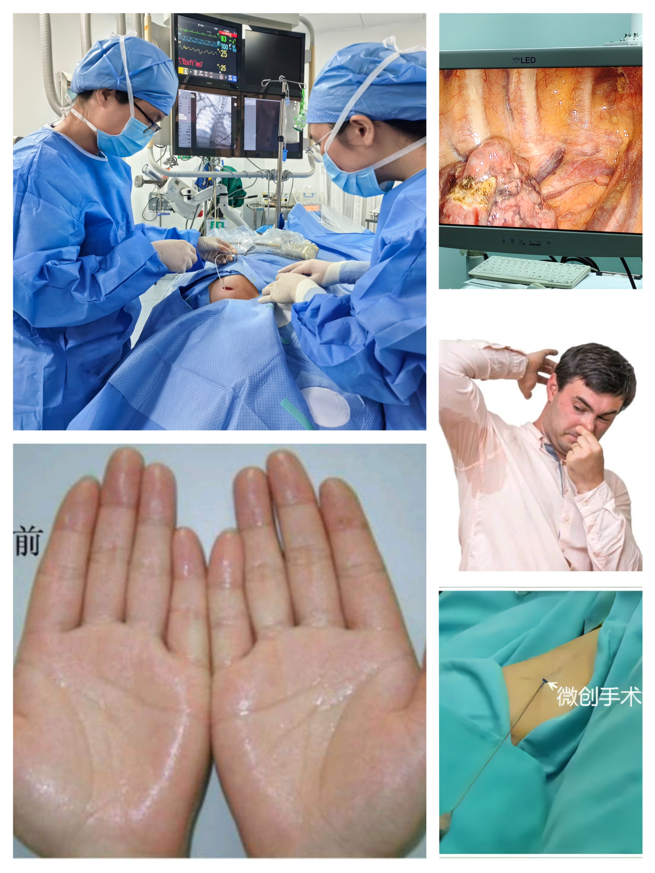 微信图片_2026-01-06_150825_358.png 微信图片_2026-01-06_150825_358.png