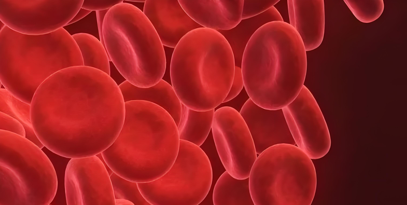 微信图片_2026-01-27_170915_244.png 微信图片_2026-01-27_170915_244.png