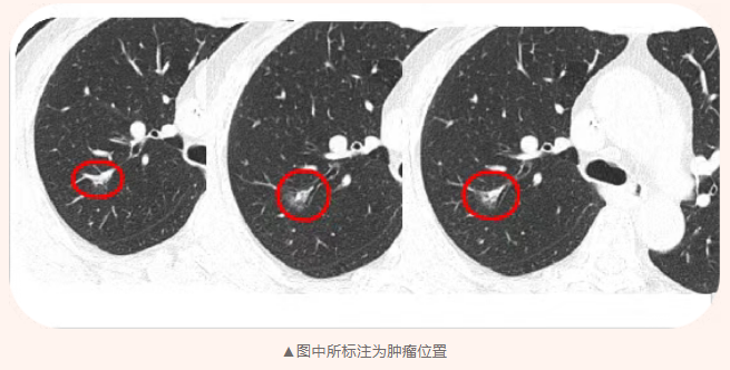 微信图片_20260112081928_410_479.png 微信图片_20260112081928_410_479.png