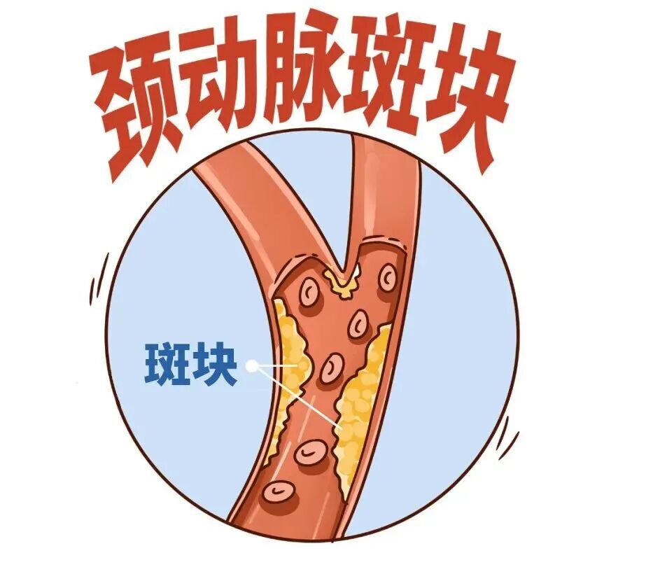 微信图片_2026-05-09_082618_234.jpg