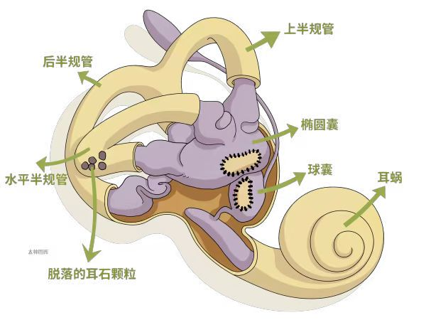 微信图片_2026-06-01_080728_329.png 微信图片_2026-06-01_080728_329.png